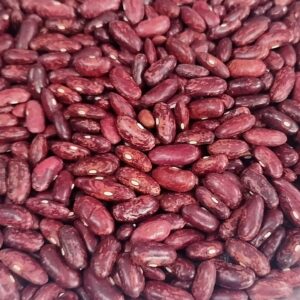 Kidney Beans Organic