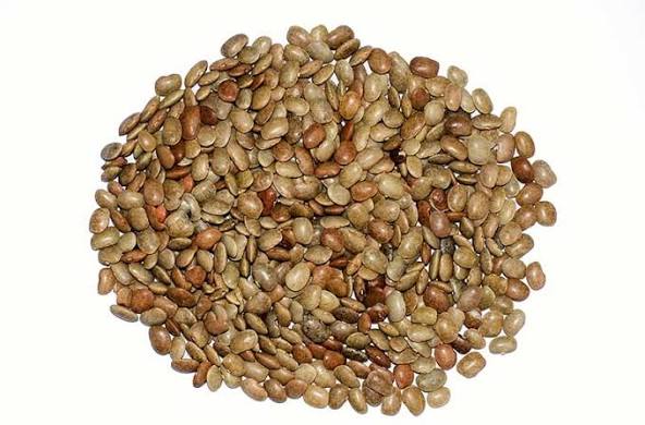 Premium Himalayan Gehat Dal (Horse Gram) – Natural & Organic Mountain Lentils from Uttarakhand Himalayas