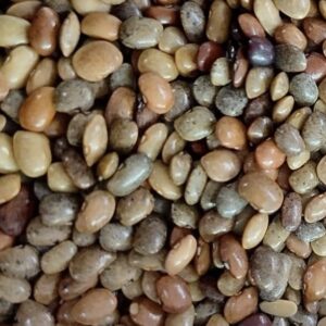 Pahadi Gahat Dal (Horse Gram) – 100% Unpolished & Organic (1kg)