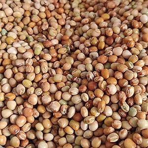 Pahadi-tuar-dal (1kg)